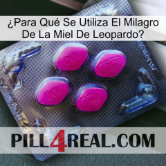 ¿Para Qué Se Utiliza El Milagro De La Miel De Leopardo 02